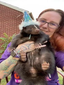 Poster for Birthday video from Nugget 42-PU dispatching skunk
