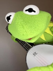 Poster for Birthday video from Kermit the Tribute
