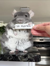 Poster for Birthday video from Chinpals