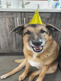 Poster for Birthday video from Django Smiles