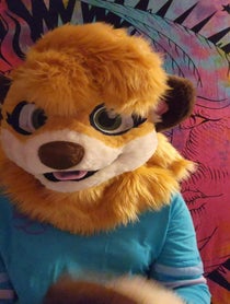 Poster for Other video from Meerka the Meerkat