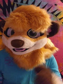 Poster for Other video from Meerka the Meerkat
