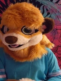 Poster for Other video from Meerka the Meerkat