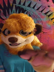 Poster for Birthday video from Meerka the Meerkat