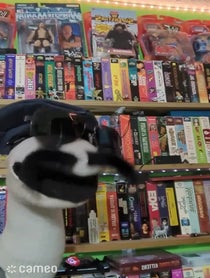 Poster for Intro video video from Sock Cop