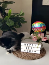 Poster for Birthday video from Nelly (ms.nellsbells)