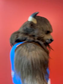 Poster for Birthday video from Rumble The Bison