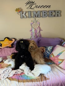 Poster for Other video from Kimberthedoodlequeen