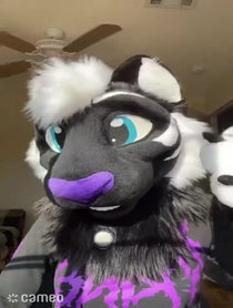 Poster for Intro video video from Fleur The Tiger