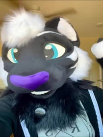 Poster for Birthday video from Fleur The Tiger
