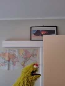 Poster for Other video from Frankie Kiwi