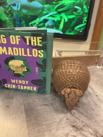 Poster for Other video from Gwen the Armadillo