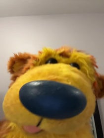 Poster for Pep Talk video from Noel MacNeal