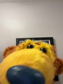 Poster for Birthday video from Noel MacNeal