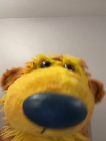 Poster for Birthday video from Noel MacNeal