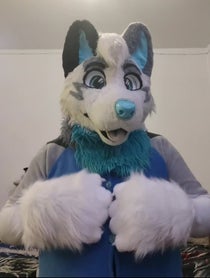 Poster for Birthday video from AlanDragonWolf