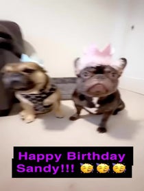 Poster for Birthday video from Nino Pacino Brown