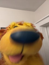 Poster for Birthday video from Noel MacNeal