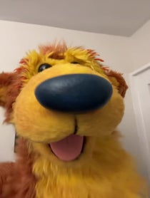 Poster for Birthday video from Noel MacNeal