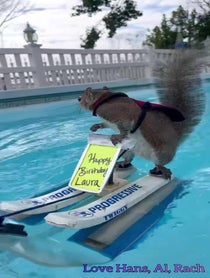 Poster for Birthday video from Twiggy the Water Skiing Squirrel