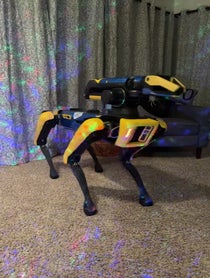 Poster for Pep Talk video from SPOT the Robot Dog
