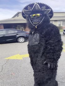 Poster for Intro video video from Roadkill