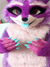 Poster for Pep Talk video from Zee the Raccoon