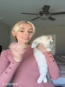 Poster for Intro video video from Pearl's Ragdolls