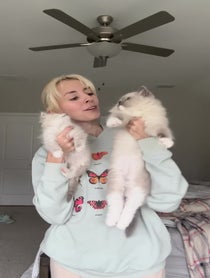Poster for Birthday video from Pearl's Ragdolls