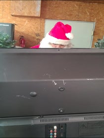 Poster for Other video from Drunk Santa | Slasher Santa | Matt Cruz