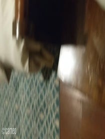 Poster for Intro video video from Casanova