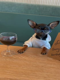 Poster for Birthday video from Mary-Kate & Rihanna the Wine Pups
