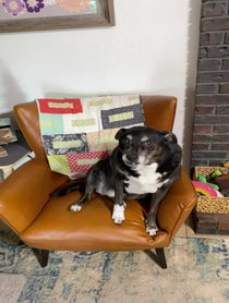 Poster for Holiday video from Ruby’s PopPop