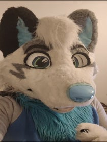 Poster for Birthday video from AlanDragonWolf