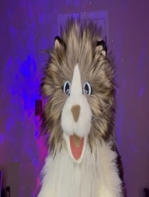 Poster for Birthday video from The Talking Cat Puppet