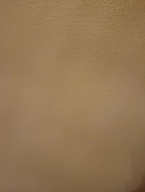 Poster for Other video from Not Morgan Freeman