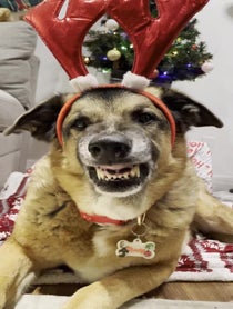 Poster for Gift video from Django Smiles