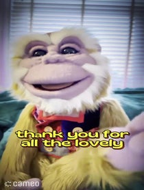 Poster for Intro video video from Jomo the Meditation Monkey