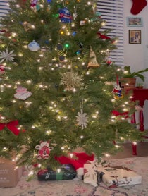 Poster for Holiday video from Aaron Woodall