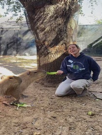 Poster for Holiday video from Capybaras At Houston Zoo
