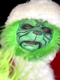 Poster for Holiday video from The Grinch
