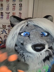 Poster for Birthday video from Cassidy Civet