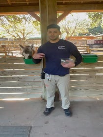 Poster for Holiday video from Fiesta the Llama at Houston Zoo