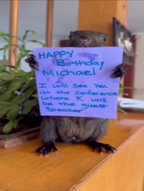 Poster for Birthday video from Peanut the Squirrel