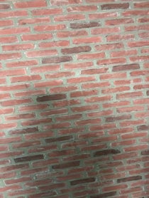 Poster for Other video from Steve Dangle