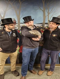 Poster for Holiday video from Punxsutawney Phil