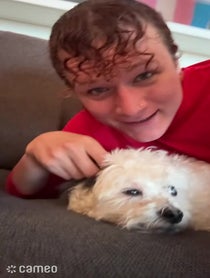 Poster for Intro video video from Lillytino