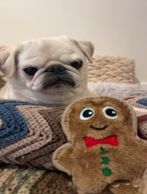 Poster for Holiday video from Smokey and Maia