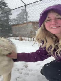 Poster for Birthday video from Wild Spirit Wolf Sanctuary