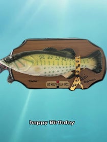 Poster for Roast video from Talking Fish